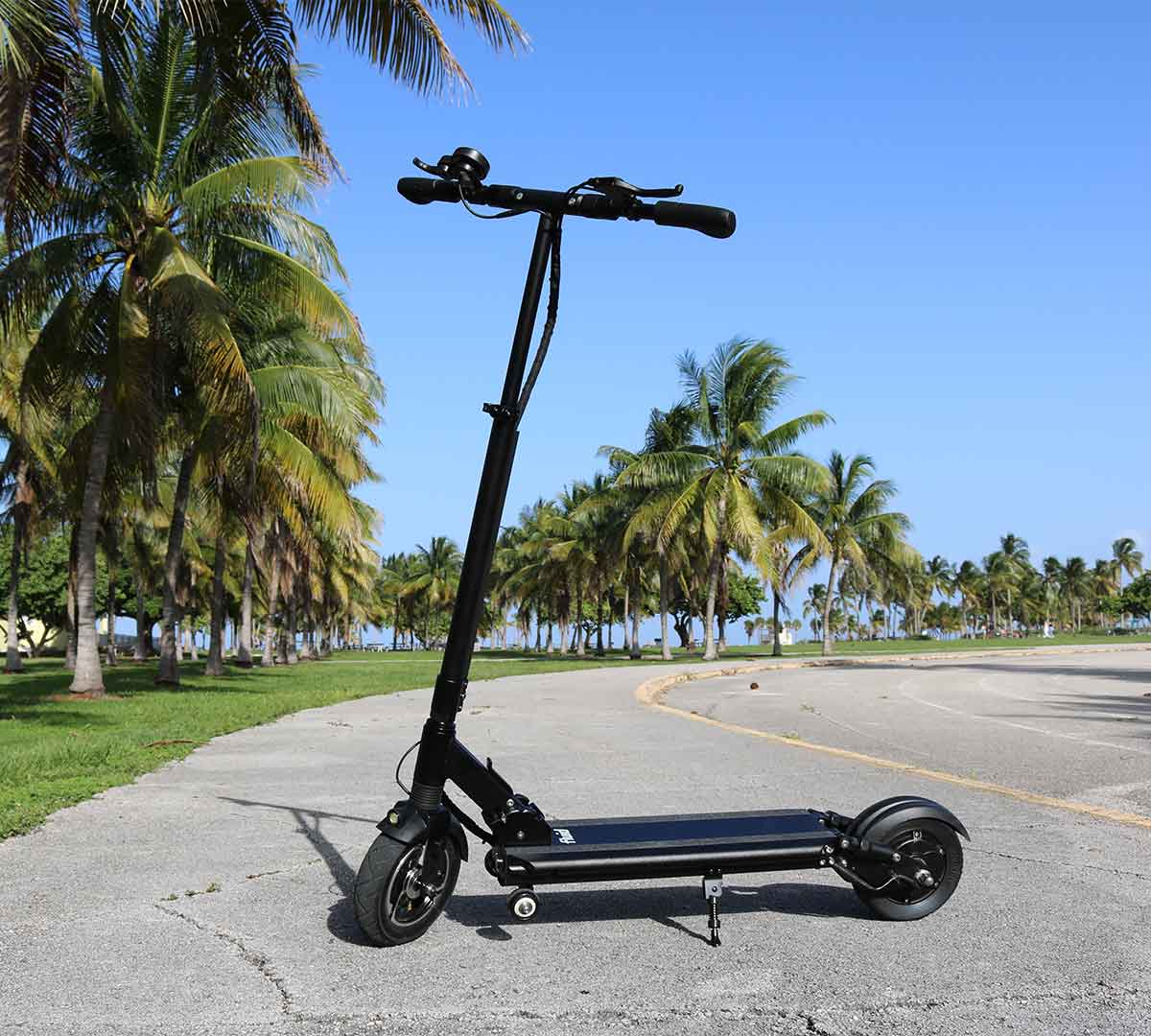Black electric scooter parked on a sunny park pathway with lush palm trees in the background, symbolizing eco-friendly transportation