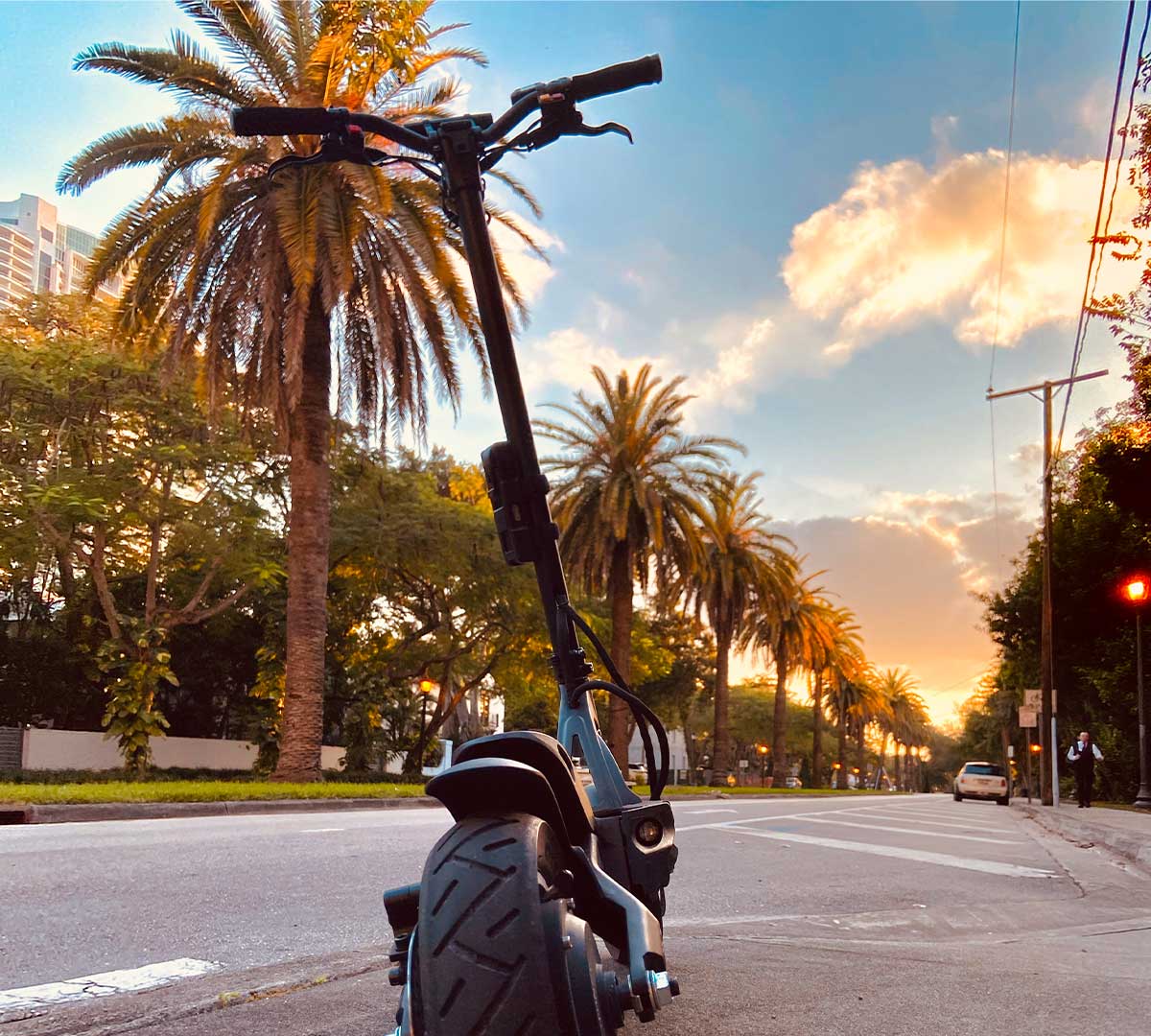 The handlebars of an electric scooter frame a city street scene at sunset, with rows of palm trees and a warm glow on the horizon, symbolizing the role of electric scooters in promoting eco-friendly transportation to combat climate change.