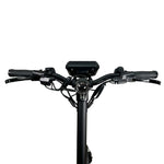 MANTIS 2025 - fluid Edition